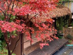 -汤家茗苑·精致私房菜(白沙店)