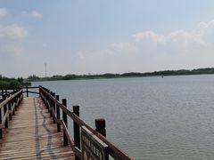 -西青郊野公园