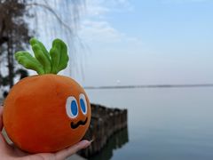 -湖滨客舍·湖北菜