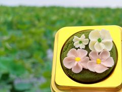 -知味观(湖滨总店)