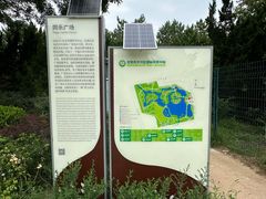 -大兴滨河森林公园