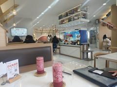 -喵园·猫主题咖啡厅·撸猫·猫咖(国贸店)