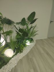 -HEYAN荷妍专业脱毛连锁机构