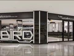 -金吉鸟健身游泳