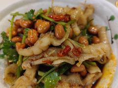 化骨绵掌-付掌柜在成都·热炒砂锅集(金禾店)