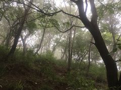 -妙峰山风景名胜区