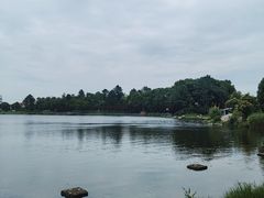 -美兰湖景区