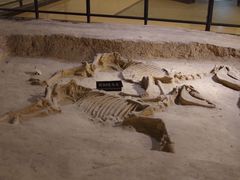 -洛阳周王城天子驾六博物馆