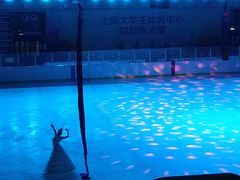 -松江大学城体育馆滑冰馆