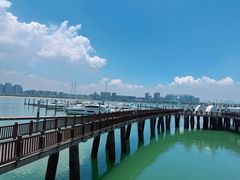 -五缘湾游艇帆船俱乐部