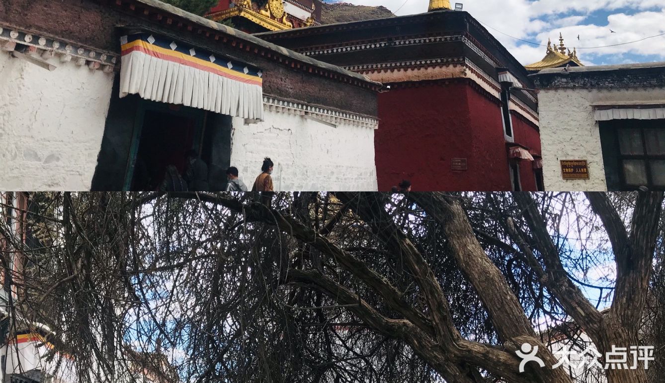 日喀则｜扎什伦布寺不可错过的圣地