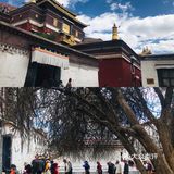 日喀则｜扎什伦布寺不可错过的圣地