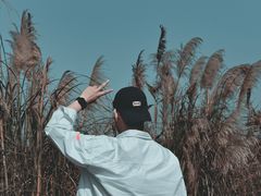-东湖落雁景区