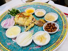 顺德走地鸡捞起-顺味凤城(九六广场店)