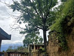 -萝卜寨羌文化生态旅游区