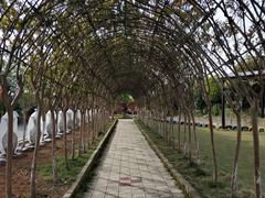 -武汉紫薇都市田园