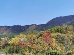 -塔川景区