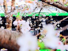 -南浦大桥长途旅游客运站