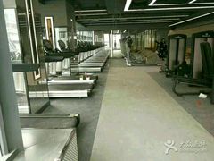 -金吉鸟健身游泳