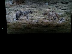 -幸福蓝海国际影城(宜昌水悦城店)