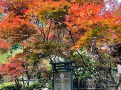 -溪口商量岗景区