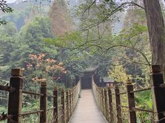-凤栖山