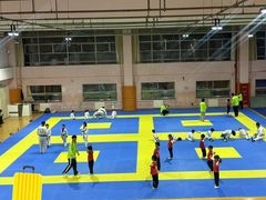 -武术世家少儿培训中心(首都体育学院店)