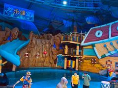 -烟台海昌鲸鲨海洋公园