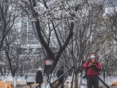 -西北湖绿化广场