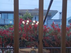 -怡得观滇餐厅·地道昆明菜·1996(海埂大坝店)