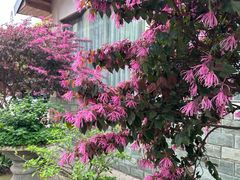 -凤来栖·净庭院·火锅(欧尚店)