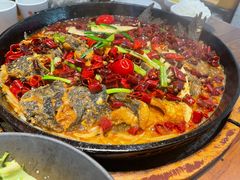 -老板恋上鱼(印象城店)