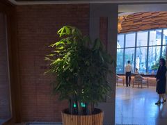 -浅深Cheersum(曹杨店)