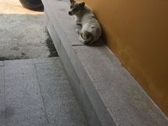 -净心庵
