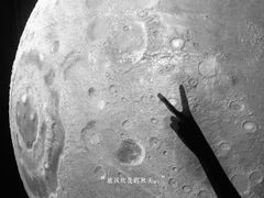 -贝林大翅鲸简餐厅(国家海洋博物馆店)