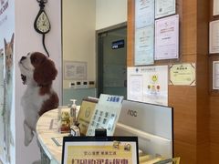 -瑞派申生动物医院·24H夜诊·国际动物医疗中心·骨外科(吴中路店)