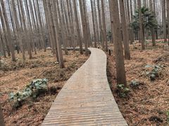-上海怡沁园度假酒店