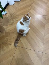 点击看大图 -沫儿·美甲美睫·半永久·皮肤管理