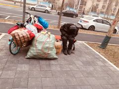 -牛街老爆肚满(牡丹园店)