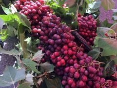 -三旗百汇商品城