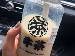 -枫花园汽车电影院(朝阳公园店)
