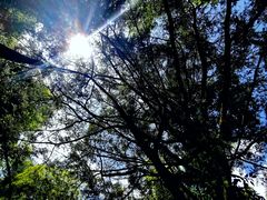 -藏龙百瀑风景区