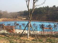 -东海森林温泉度假酒店