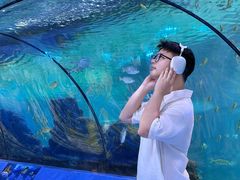 -重庆欢乐海底世界