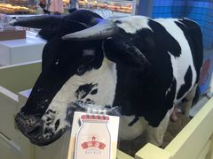 -红星前进面包牛奶公司(君太店)