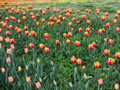 -长春公园(普阳街道)