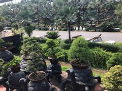 -东芭乐园