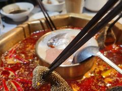 -蜀九香火锅(玉林店)