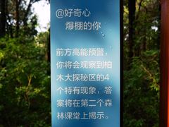 -佛慧山