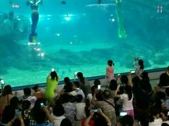 -福州罗源湾海洋世界旅游区